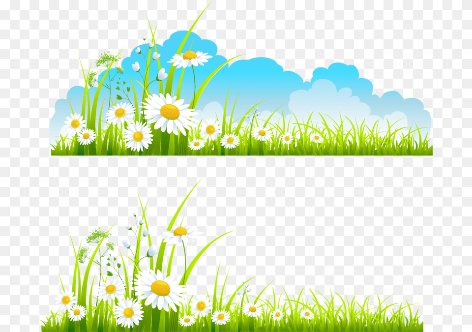 Margarita Clipart Background Garden Clipart, Daisy, Flower, Grass, Green Free Png Download