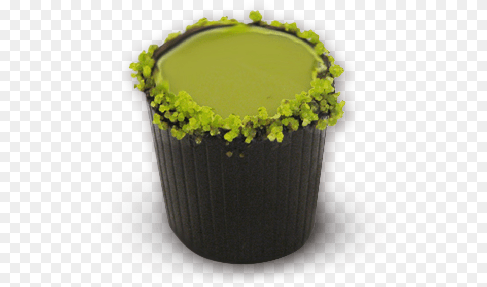 Margarita Cup Cake, Beverage, Juice, Jar, Plant Free Png