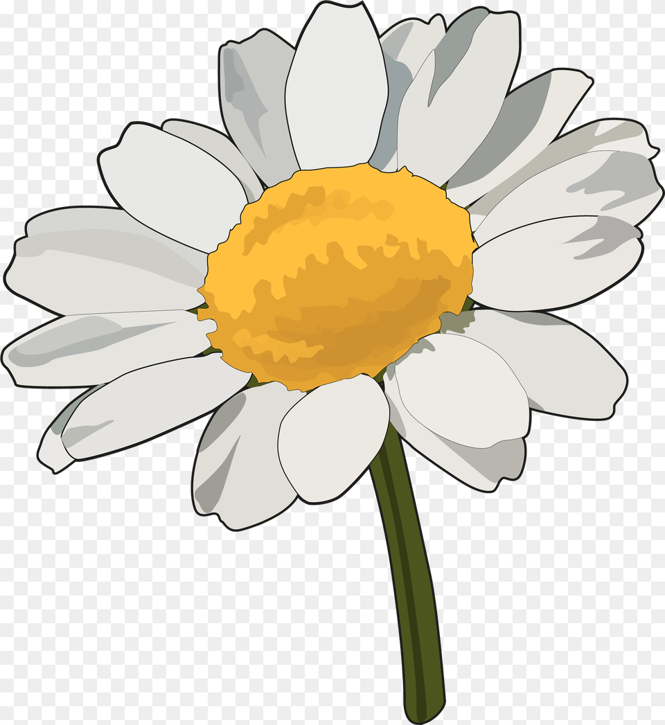 Margarita Flor Dibujo, Daisy, Flower, Plant, Petal Free Transparent Png