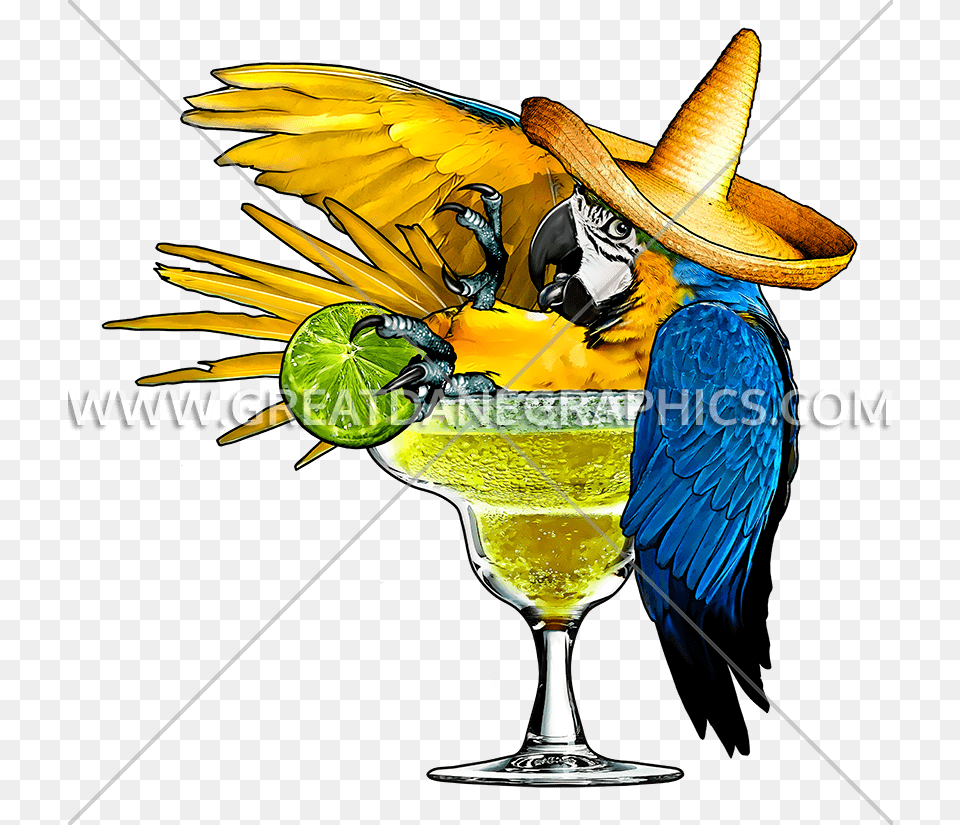 Margarita Parrot Production Ready Artwork For T Shirt Printing, Clothing, Hat, Animal, Bird Png Image