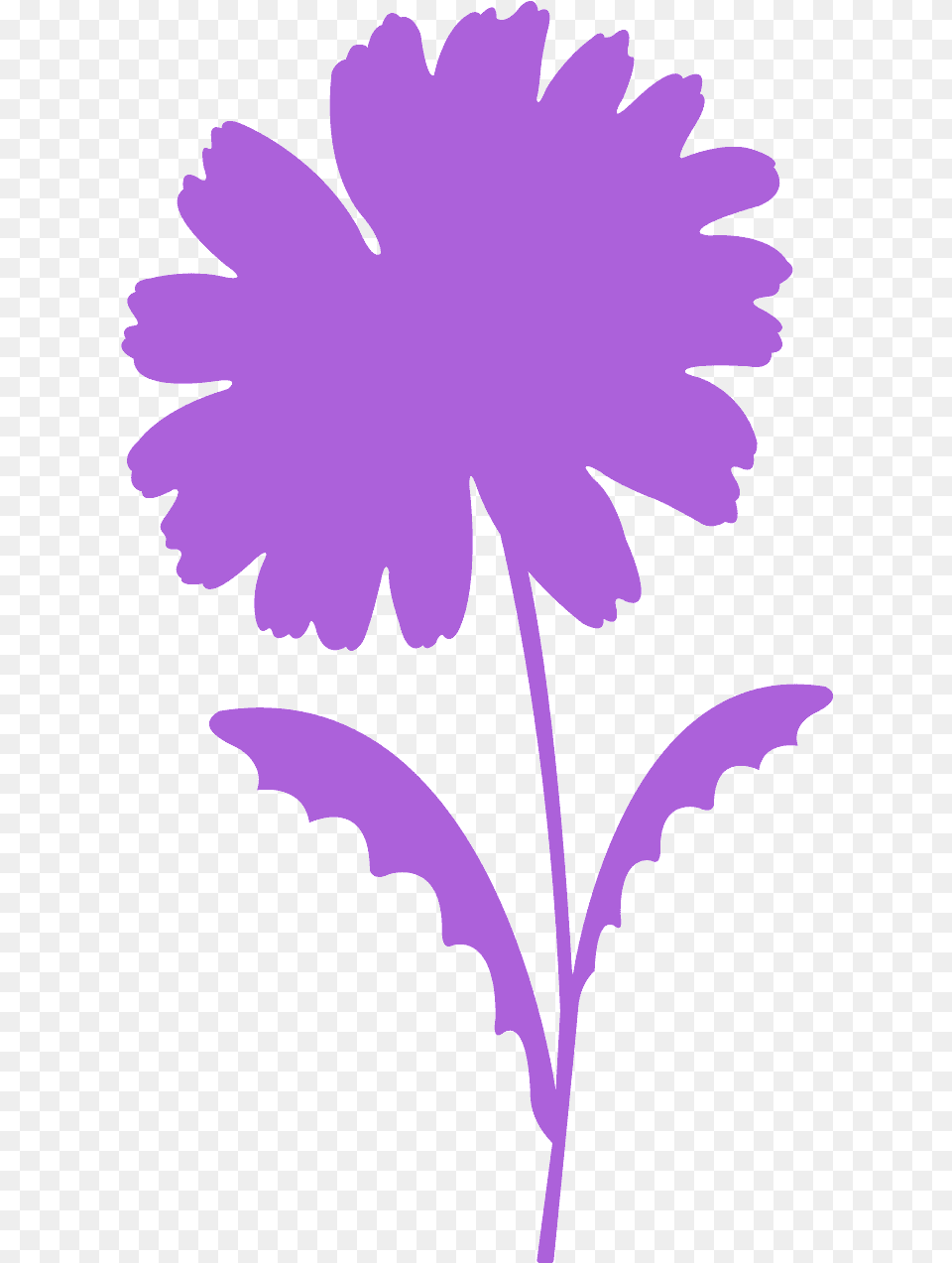 Margarita Vector, Daisy, Flower, Plant, Petal Free Png