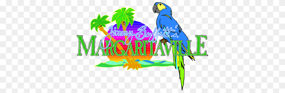 Margaritaville Cliparts, Animal, Bird, Parrot, Parakeet Free Png Download