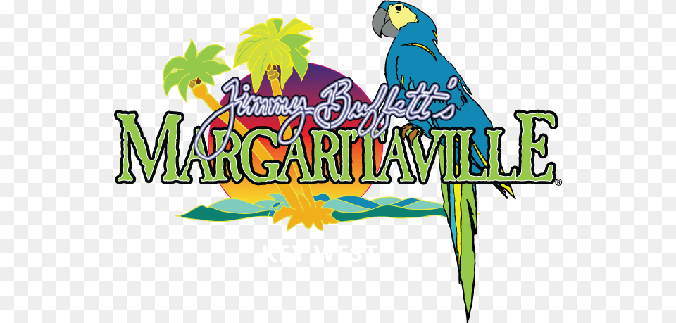 Margaritaville Key West Restaurant Key West Fl Jimmy, Leaf, Plant, Person, Animal Free Transparent Png