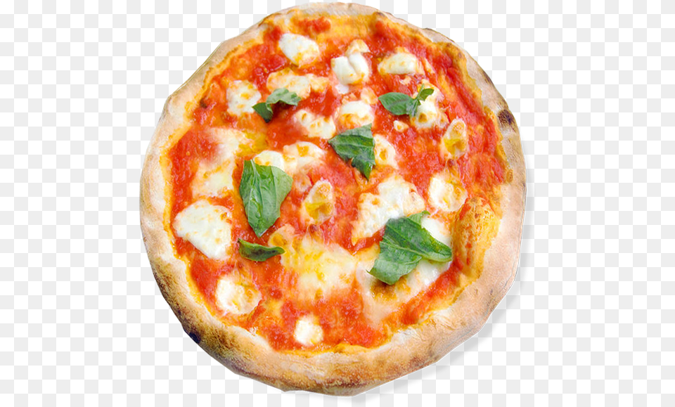 Margherita Pizza White Background, Food Png