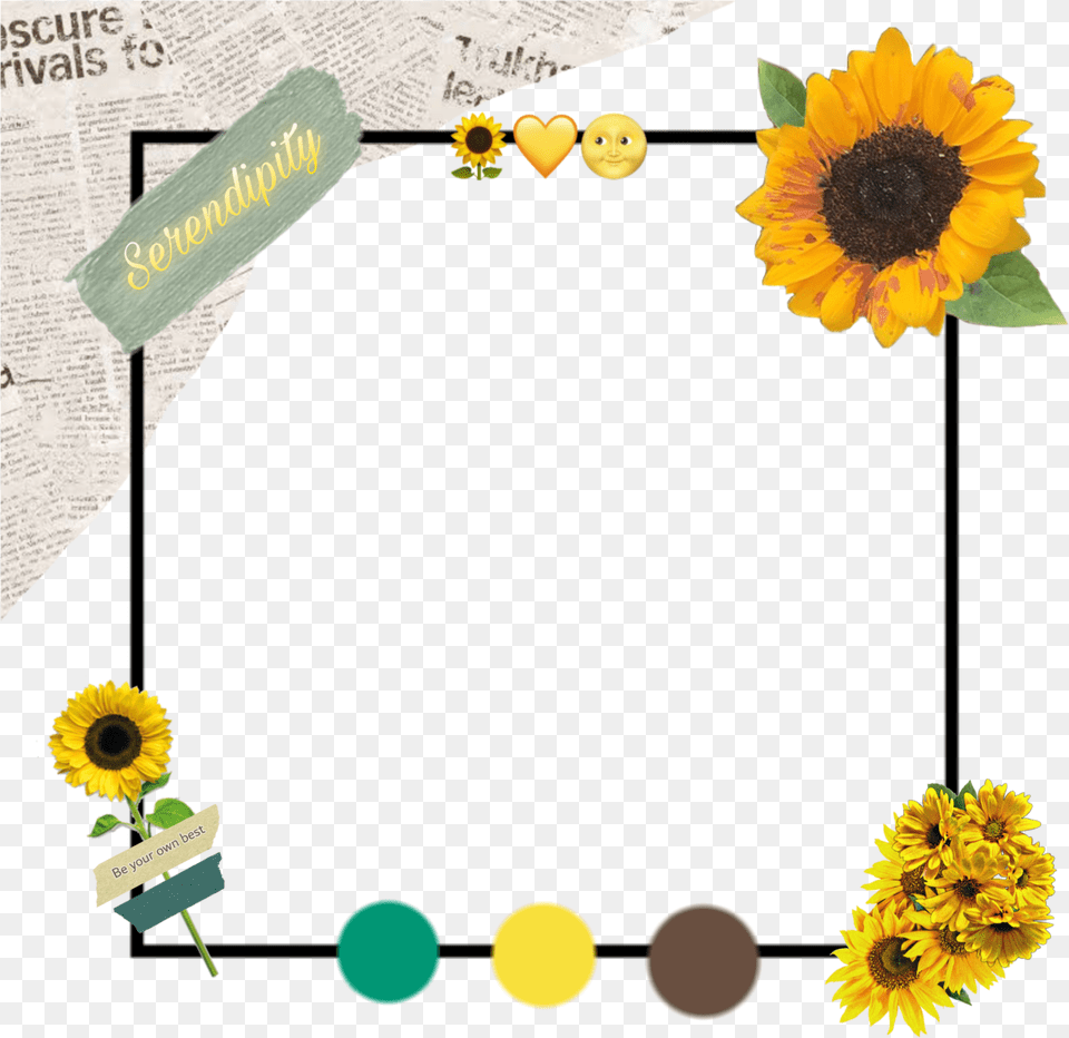 Margin Flowers Flower Sticker Sunflower, Plant Free Png