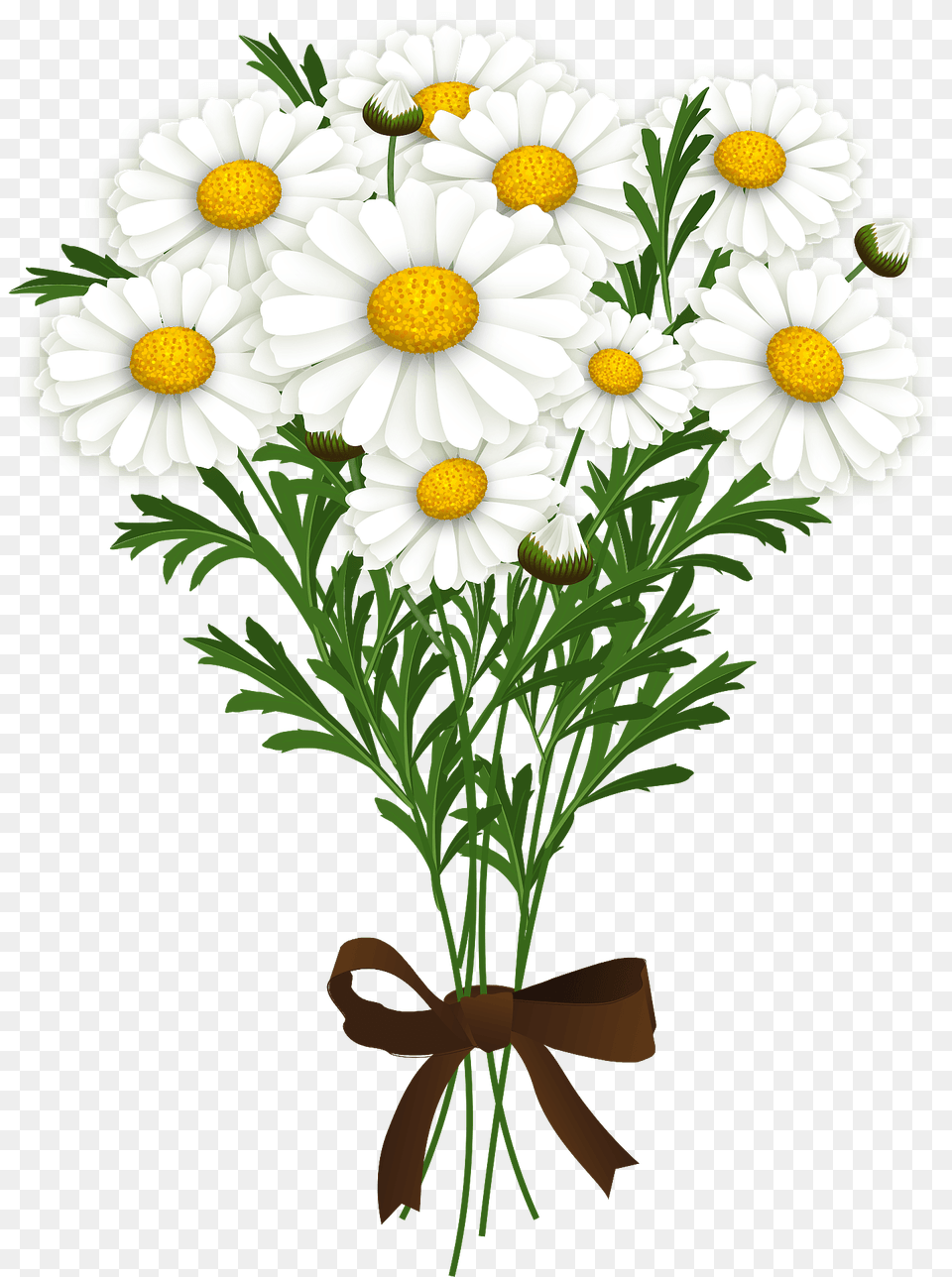 Marguerite Bouquet Clipart, Daisy, Flower, Plant, Flower Arrangement Free Png Download