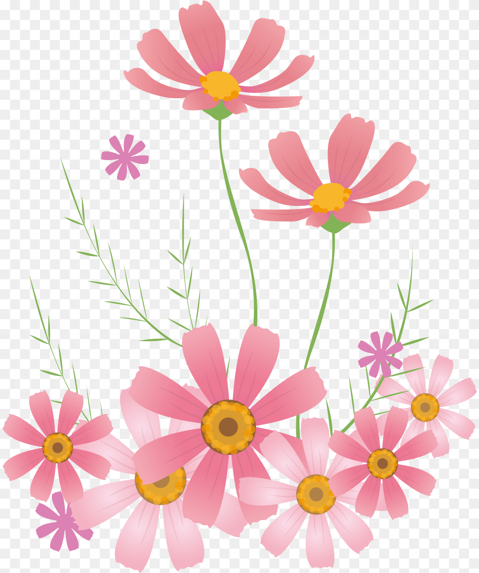 Marguerite Daisy, Flower, Pattern, Petal, Plant Free Png