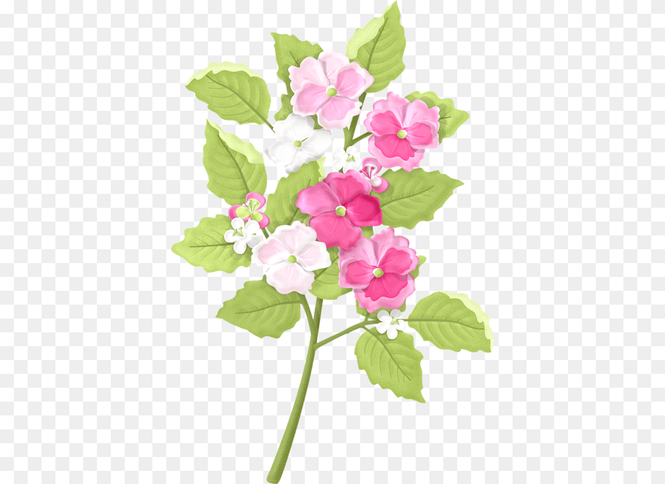 Maria Jose Paper Flower Clipart Spring Flowers Periwinkle, Geranium, Petal, Plant, Flower Arrangement Free Png Download
