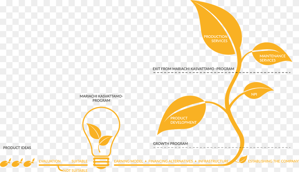 Mariachi Has A Solid Knowledge Of Embedded Systems Graphic Design, Light, Lightbulb Png Image