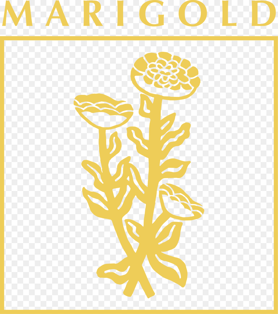 Marigold, Person, Publication Free Transparent Png