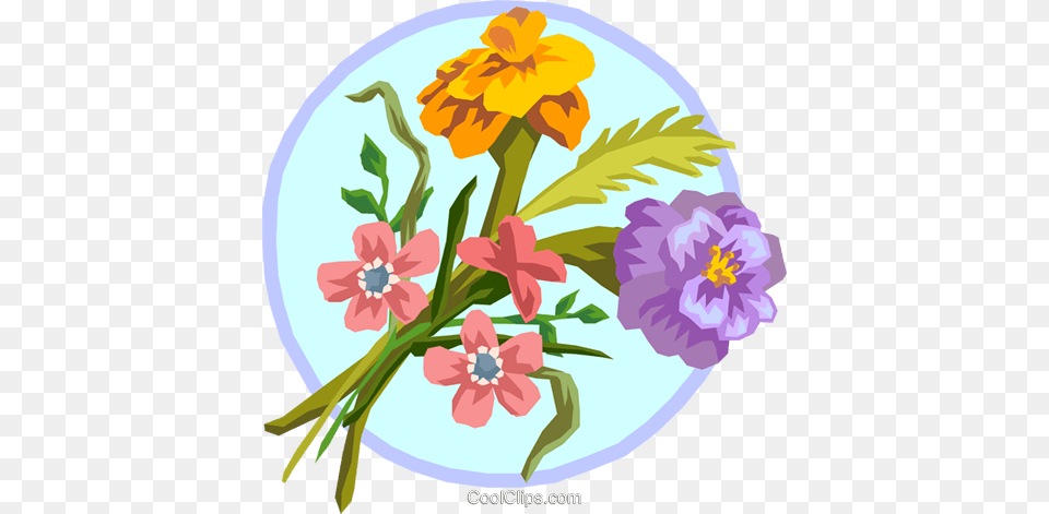 Marigold Bouquet Royalty Vector Clip Art Illustration, Floral Design, Flower, Graphics, Pattern Free Transparent Png