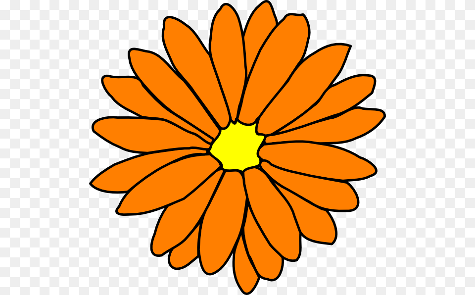 Marigold Clipart Orange Flower, Daisy, Petal, Plant, Dahlia Free Png