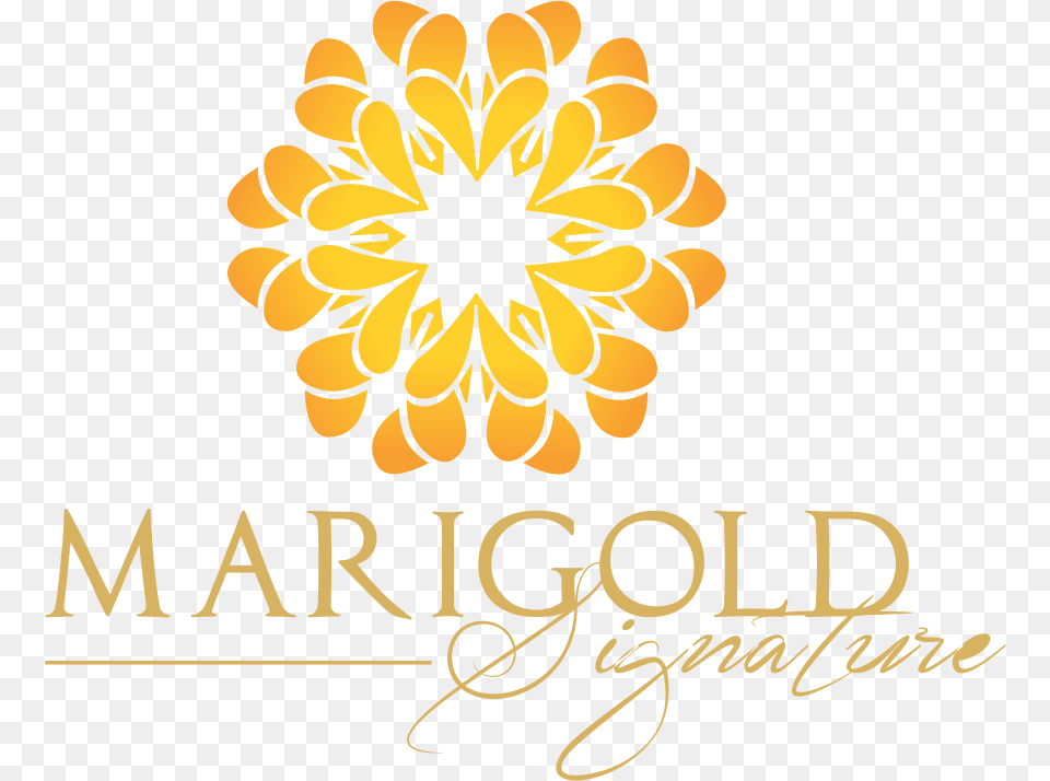 Marigold Signature, Art, Floral Design, Graphics, Pattern Free Transparent Png