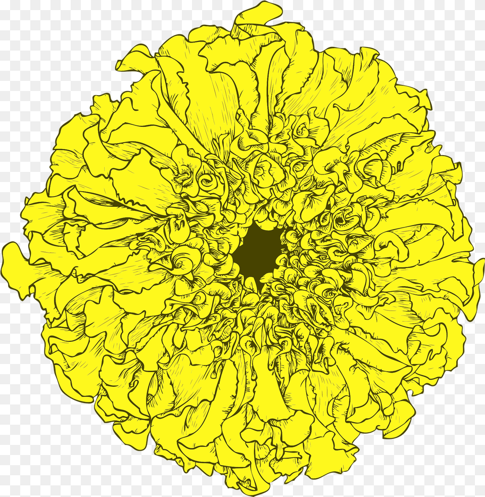 Marigold Tagetes Flower Cartoon Dia De Los Muertos Flowers, Plant, Petal, Daisy, Floral Design Png