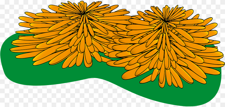 Marigolds Flower Flowers Day Of Clip Art, Plant Free Transparent Png