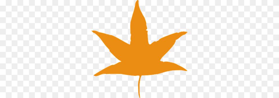 Marihuana Leaf, Plant, Animal, Fish Free Png Download