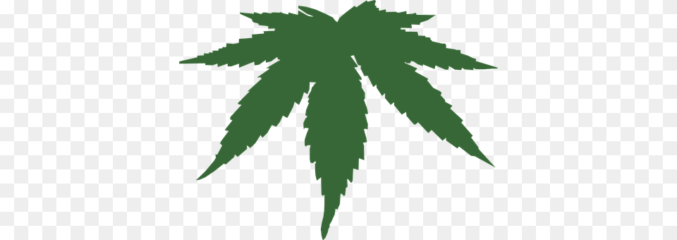Marijuana Leaf, Plant, Weed Png