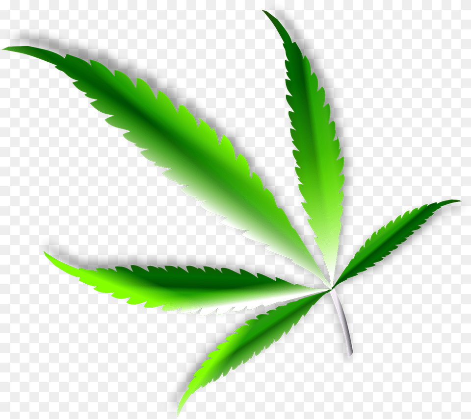 Marijuana, Leaf, Plant, Weed, Herbal Free Png