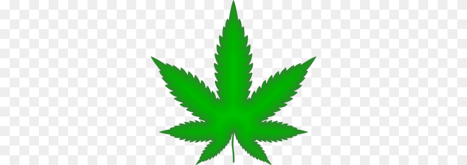 Marijuana Leaf, Plant, Weed, Animal Png Image