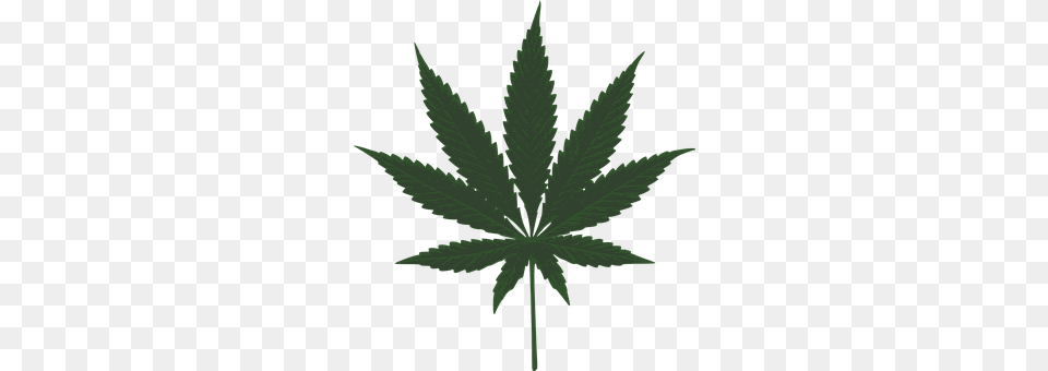 Marijuana Leaf, Plant, Weed, Hemp Png Image