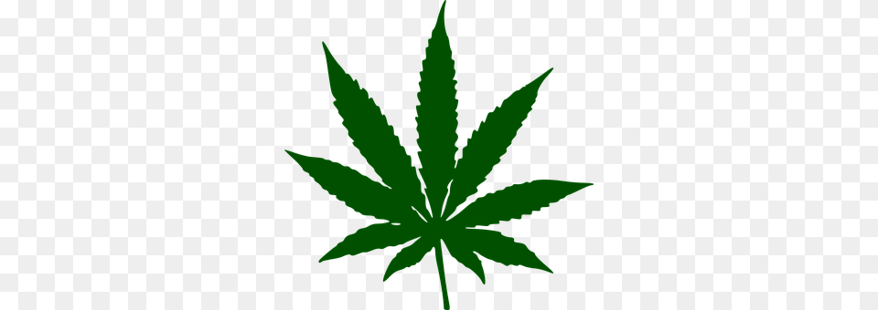Marijuana Leaf, Plant, Weed, Hemp Free Png Download