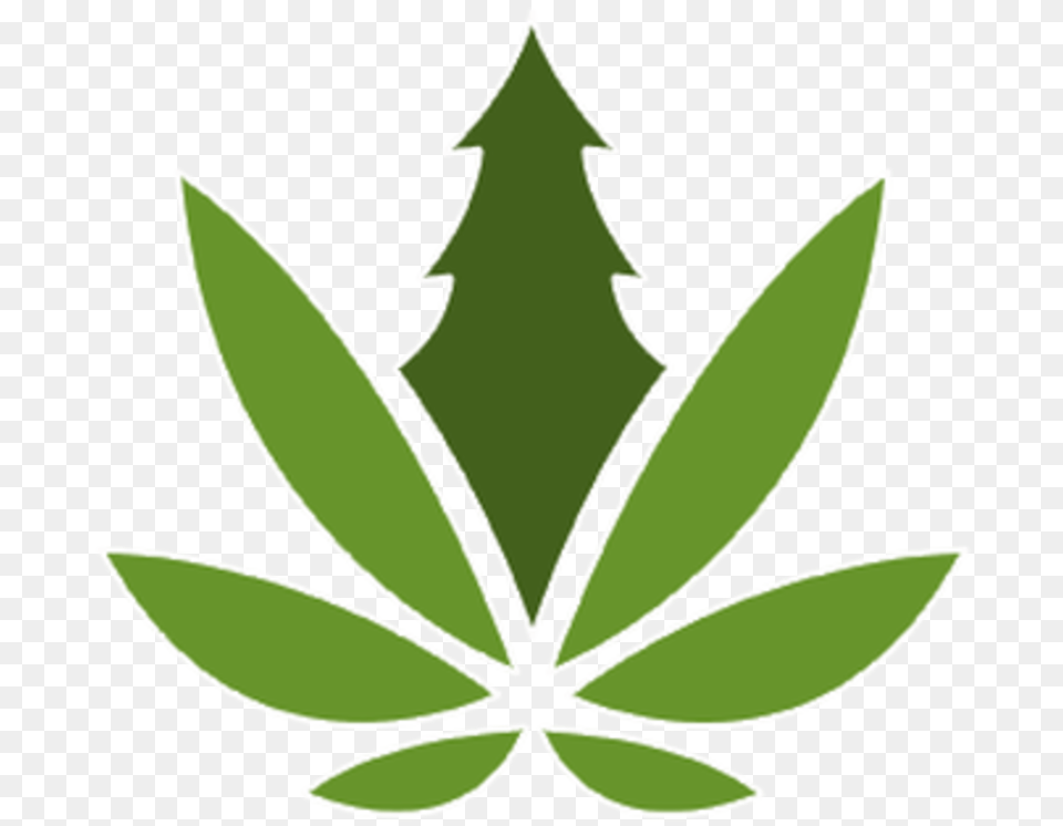 Marijuana Black And White, Leaf, Plant, Herbal, Herbs Free Transparent Png