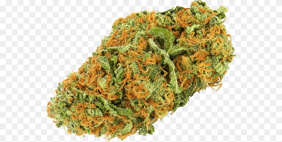 Marijuana Bud Crystals 650px Moss, Plant, Weed, Food, Pizza Free Transparent Png