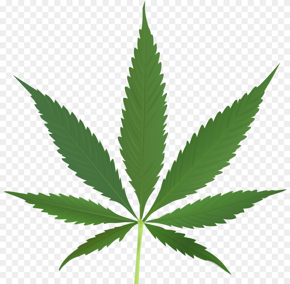 Marijuana Cannabis, Leaf, Plant, Weed, Hemp Png