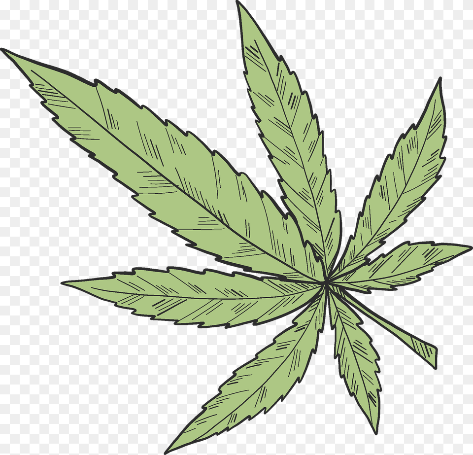 Marijuana Clipart, Leaf, Plant, Weed, Hemp Free Png Download