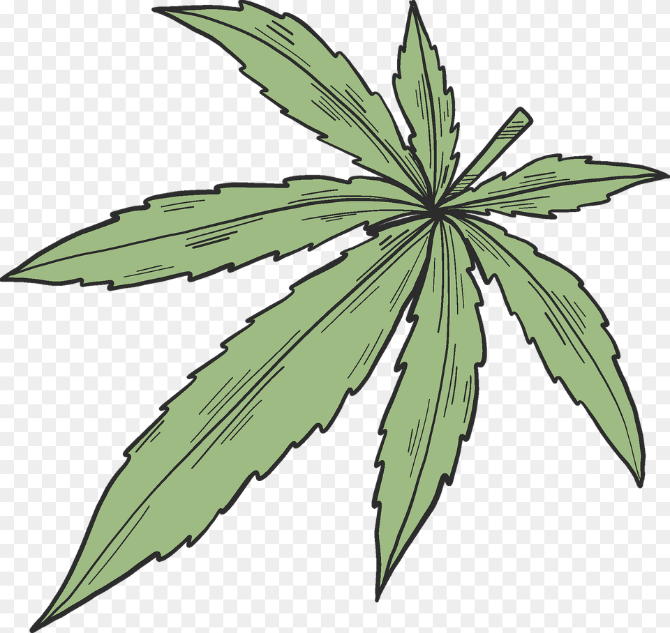 Marijuana Clipart, Leaf, Plant, Hemp, Animal Free Png