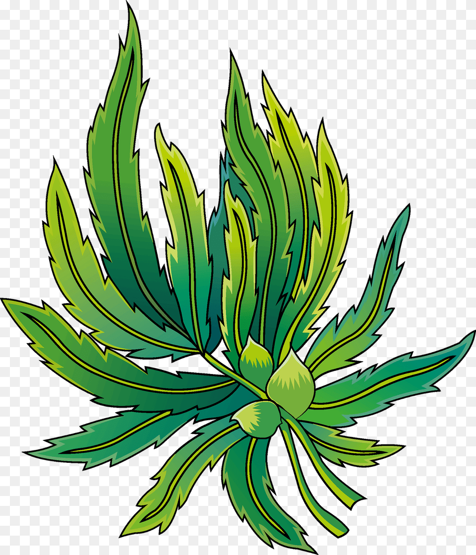Marijuana Clipart, Art, Plant, Floral Design, Graphics Png Image