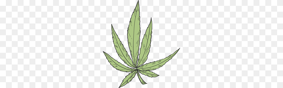 Marijuana Clipart, Leaf, Plant, Weed, Hemp Png