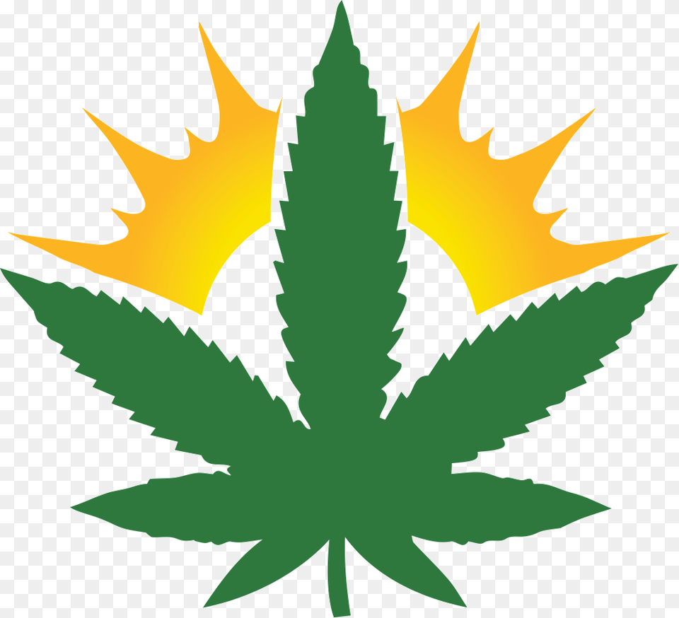 Marijuana Clipart Hash Weed Leaf Black, Plant, Animal, Fish, Sea Life Png