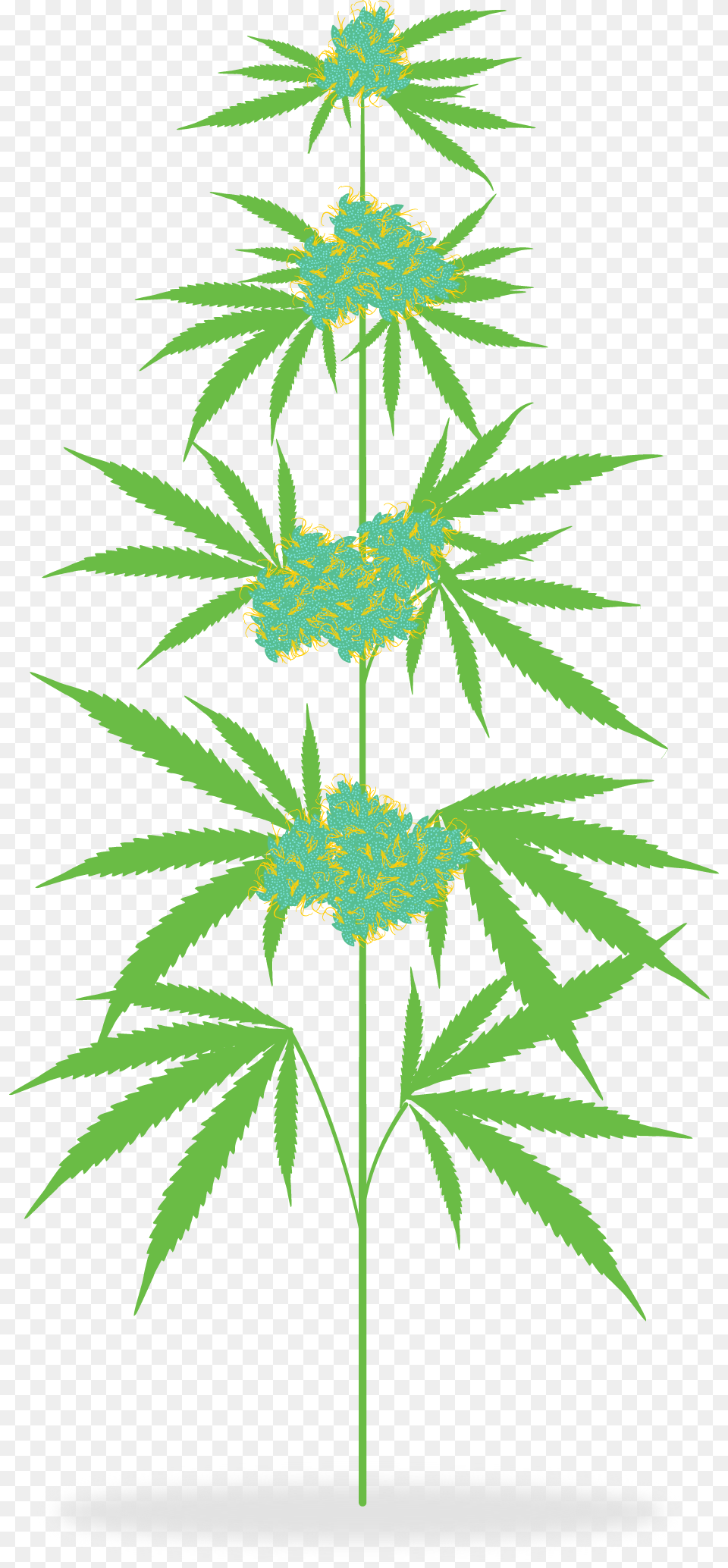 Marijuana Clipart Marijuana Plant Clip Art, Hemp, Weed, Leaf Png Image