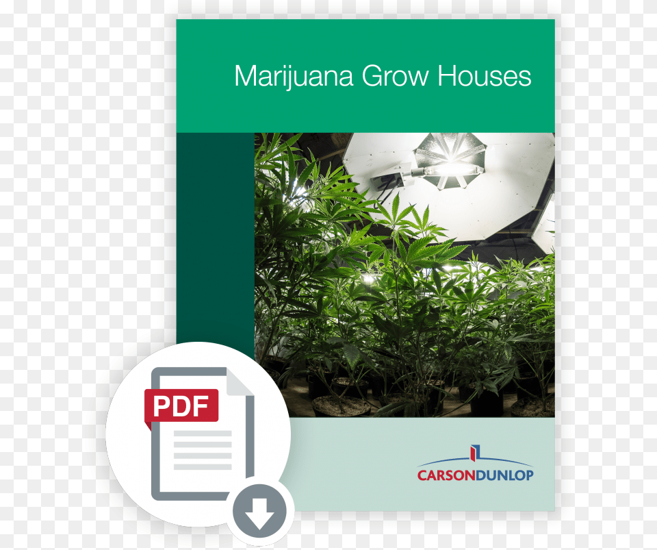 Marijuana Grow Houses Course New Technology Grow Cannabis, Herbal, Herbs, Leaf, Plant Free Transparent Png