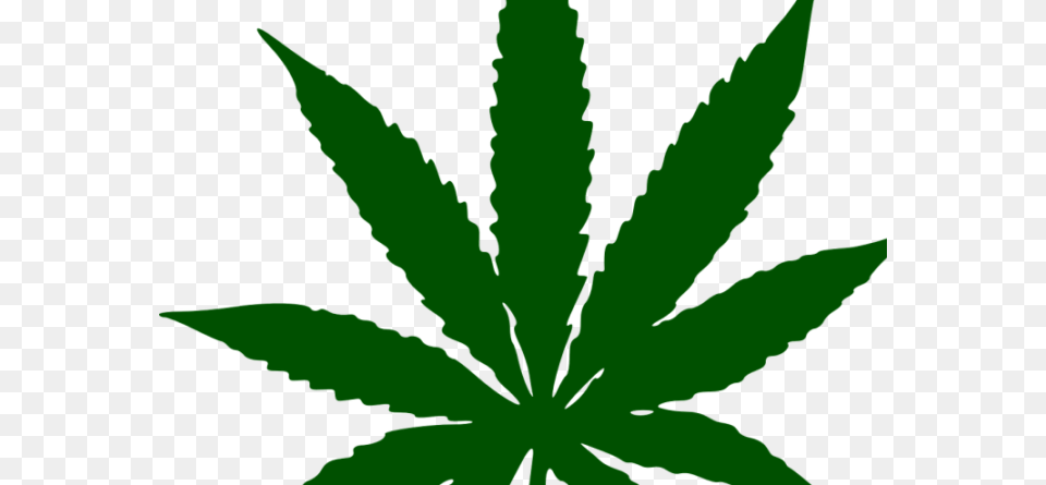 Marijuana Has Alot Of Good Benefits For Your Health Integrative, Leaf, Plant, Weed, Hemp Free Png