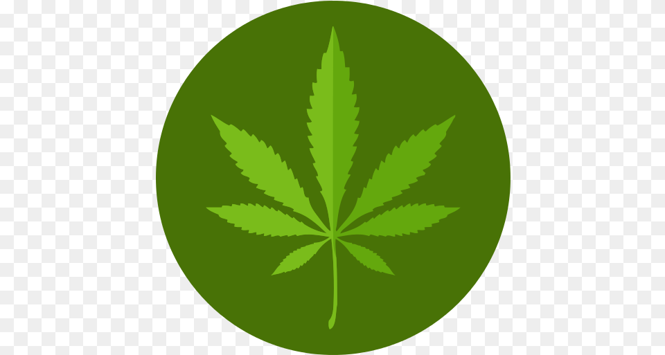 Marijuana Icon Flat Marijuana Icon, Leaf, Plant, Weed, Herbal Png Image