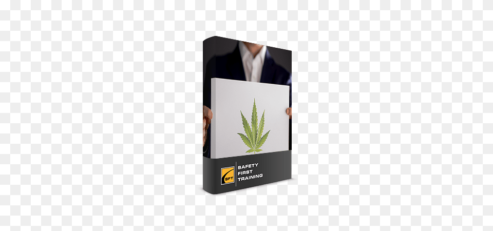 Marijuana In The Workplace Medical Marijuana Online Cannabis, Leaf, Plant, Adult, Male Free Png