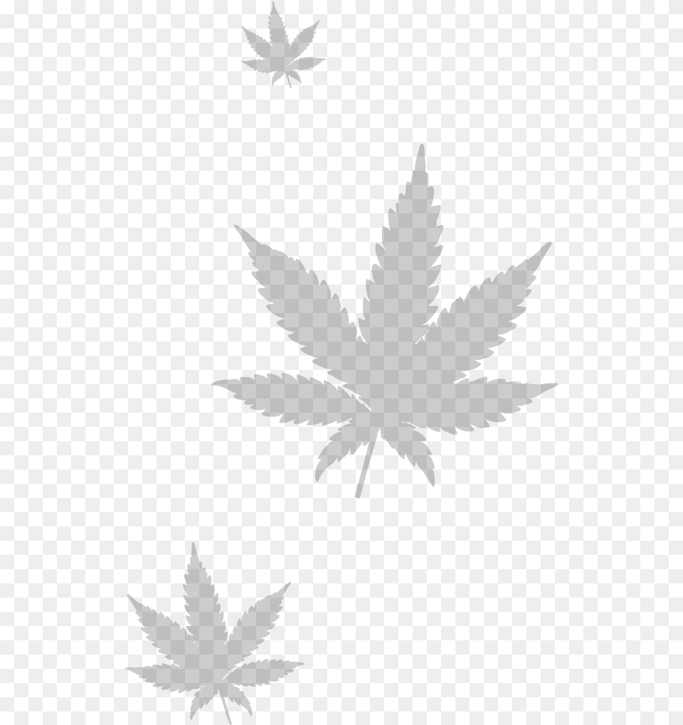 Marijuana Leaf, Gray Free Png