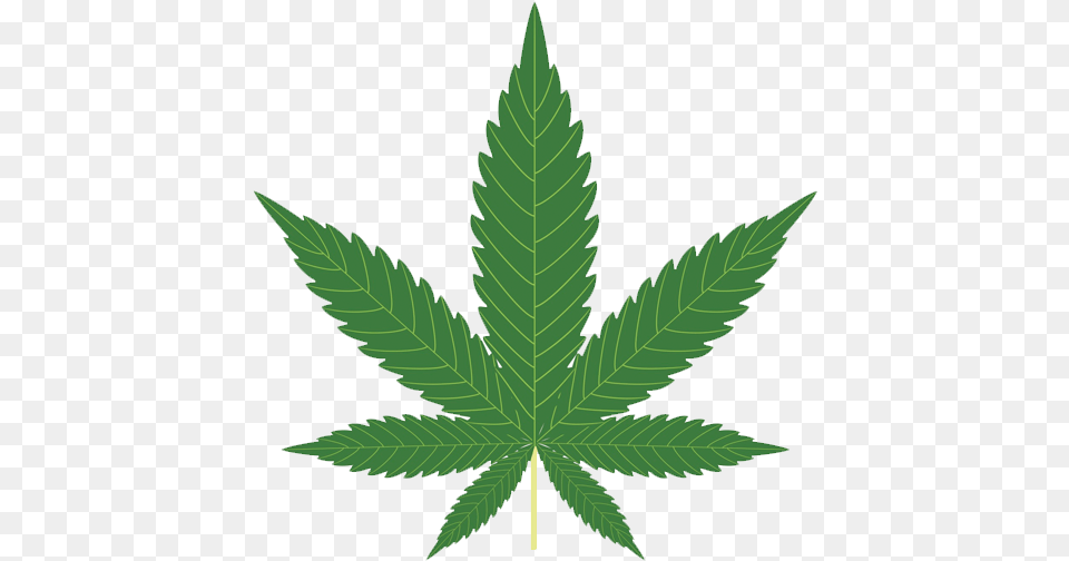 Marijuana Leaf, Plant, Hemp, Weed Png