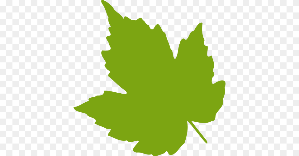 Marijuana Leaf Clip Art Plant, Maple Leaf, Person, Tree Free Transparent Png