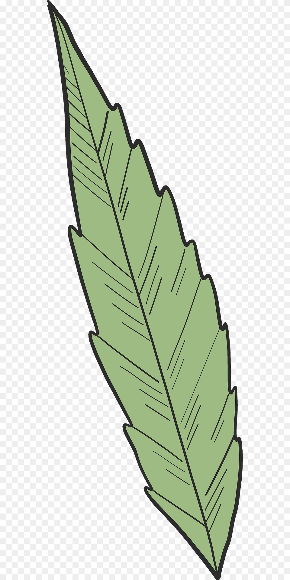 Marijuana Leaf Clipart, Plant, Dynamite, Weapon Png