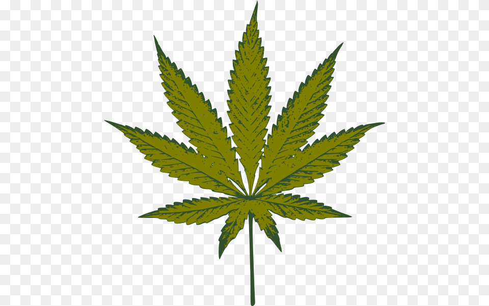 Marijuana Leaf Clipart, Plant, Weed, Hemp Free Transparent Png