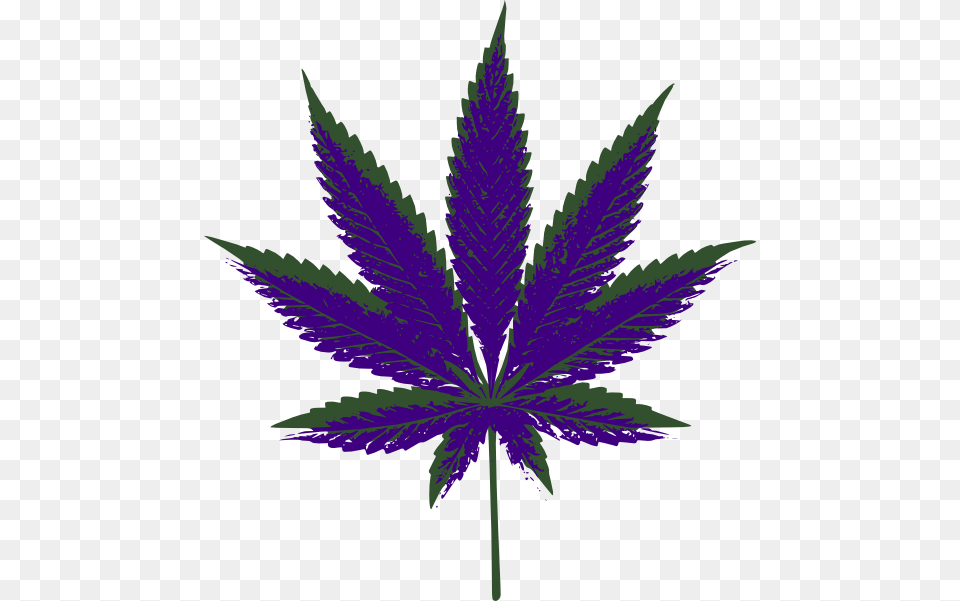 Marijuana Leaf Clipart, Plant, Weed, Herbal, Herbs Png Image