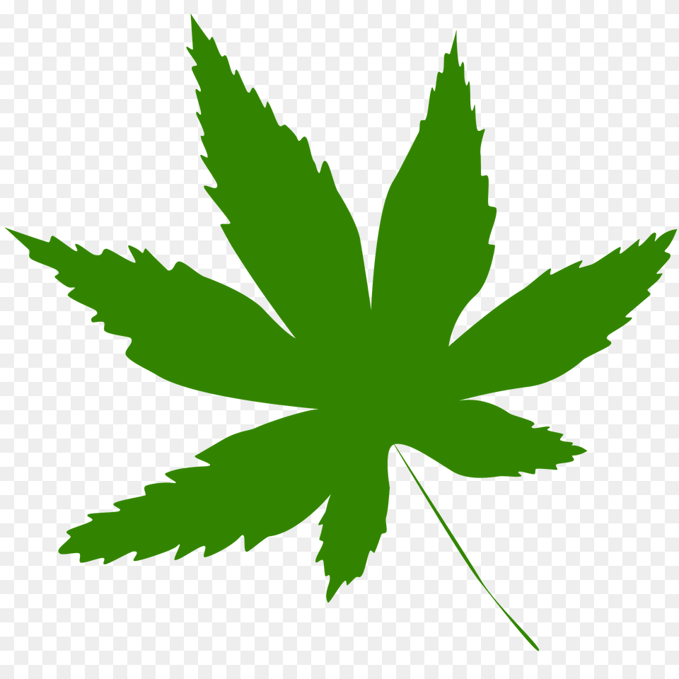 Marijuana Leaf Clipart, Plant, Weed Png Image