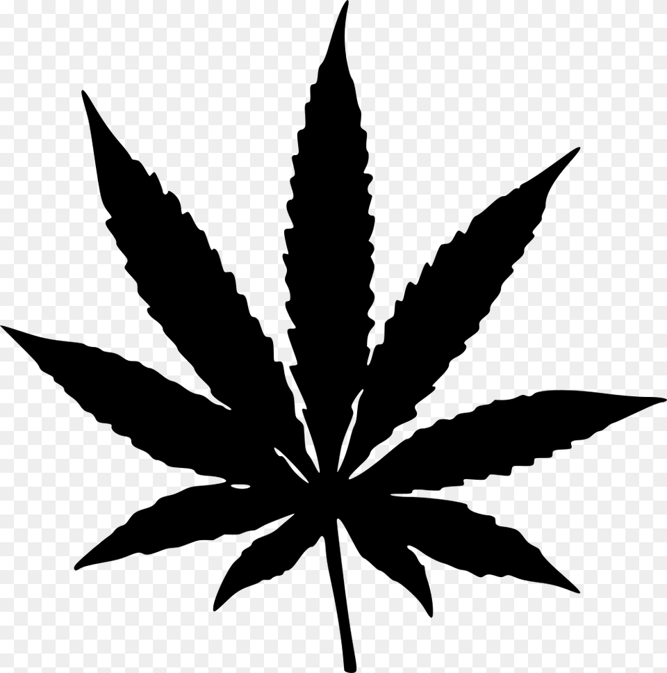 Marijuana Leaf Clipart Background, Gray Free Png