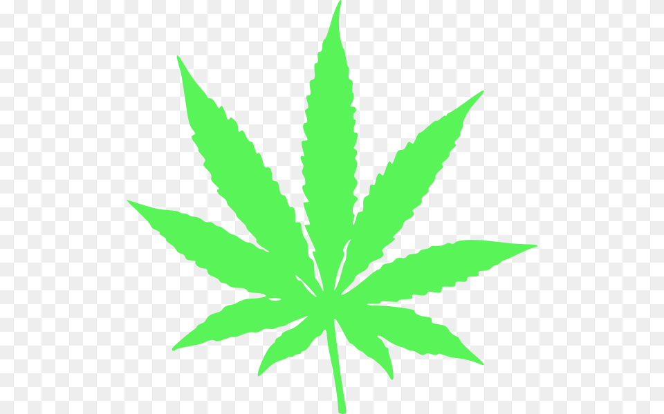 Marijuana Leaf Clipart Background Pot Leaf, Plant, Weed, Herbal, Herbs Png