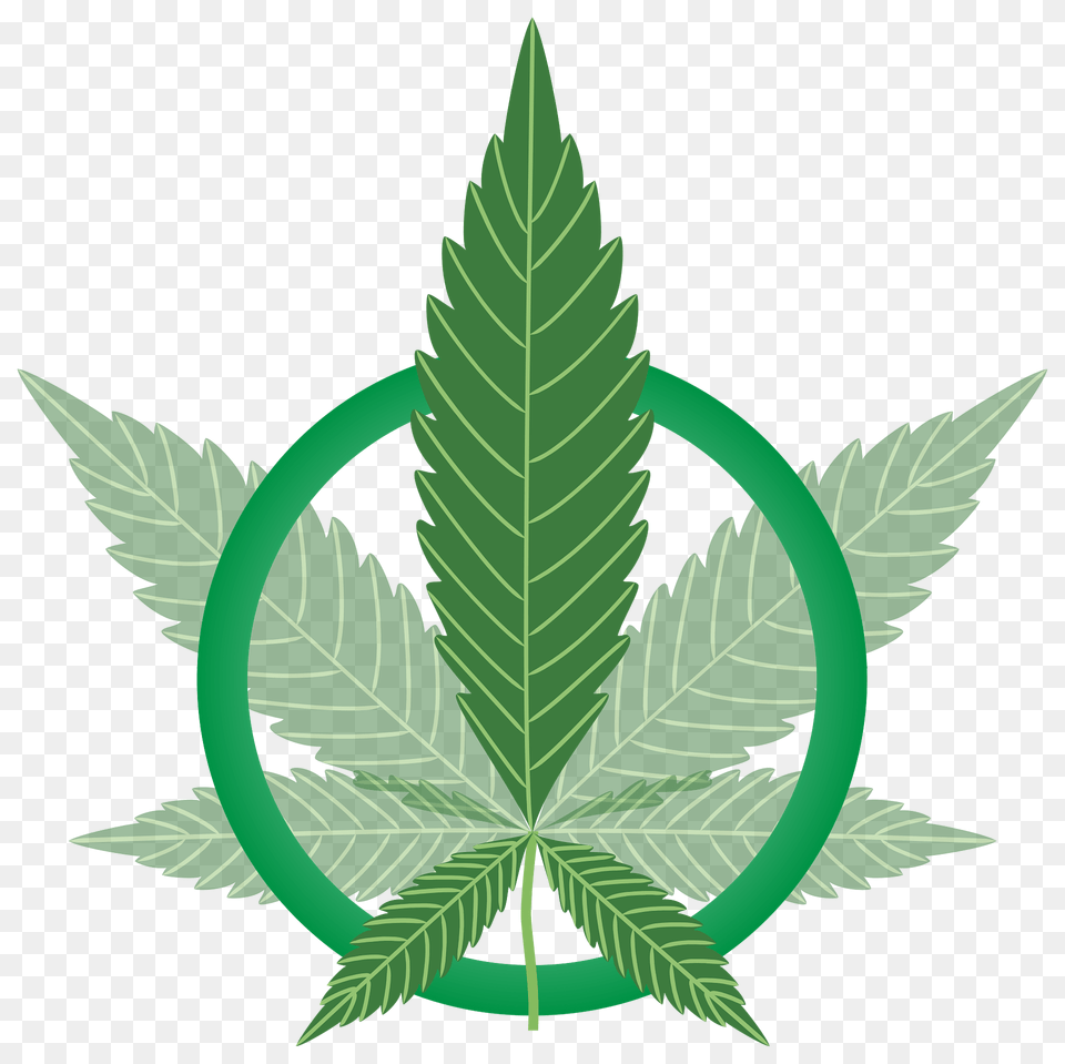 Marijuana Leaf Green Clipart, Plant, Tree, Vegetation, Hemp Png Image