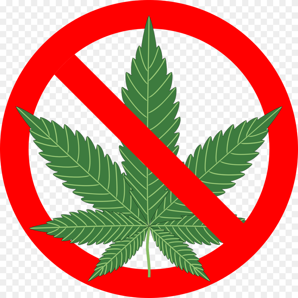 Marijuana Leaf Icon No Cannabis, Plant, Weed Free Png
