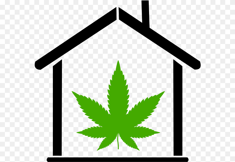 Marijuana Leaf Icon Pot Leaf, Plant, Weed, Animal, Bird Png